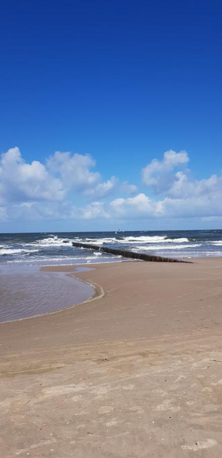 Apartment Pinea Baltic - 2 Mit Meerblick