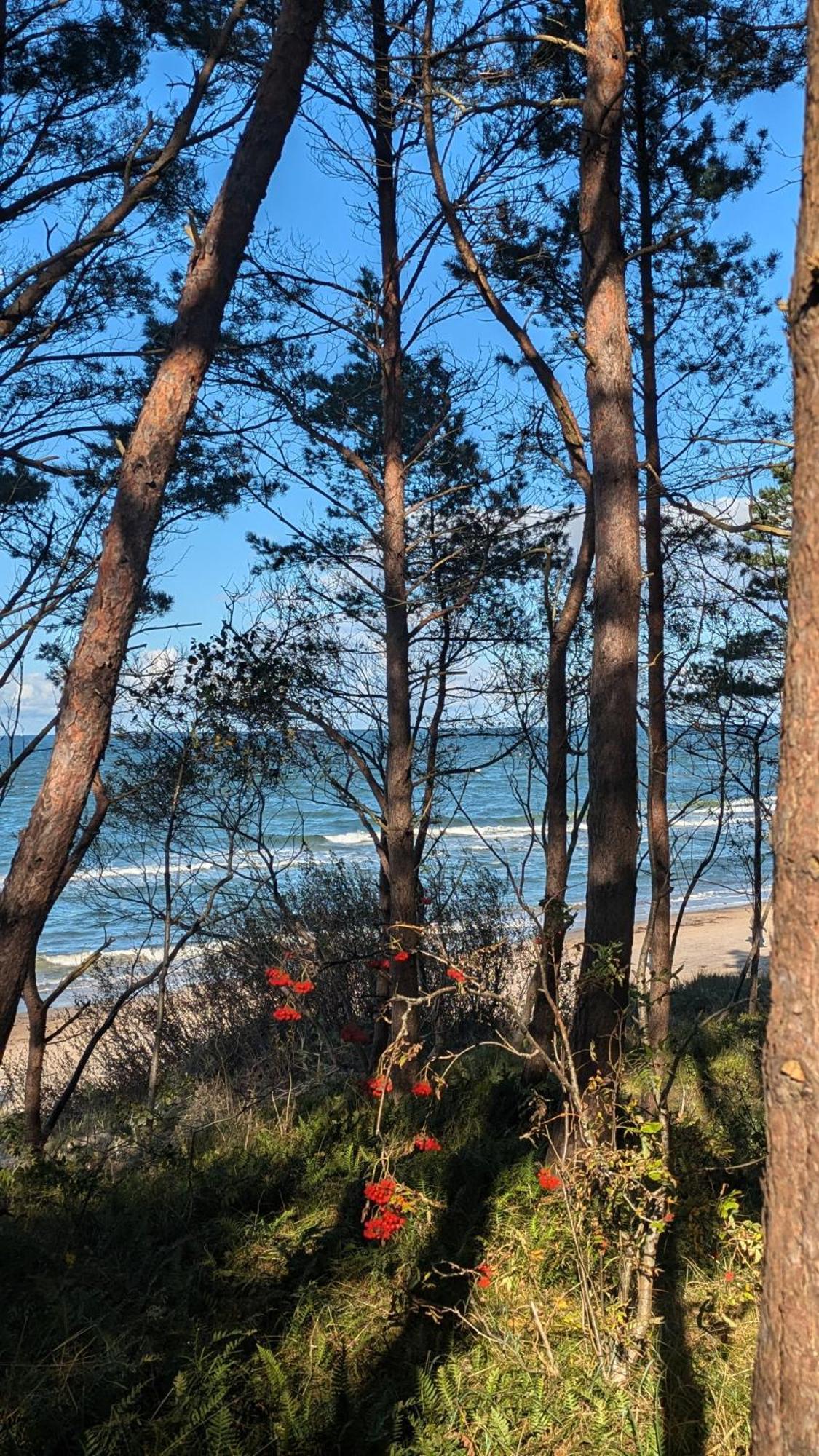 Pinea Baltic - 2 Mit Meerblick
